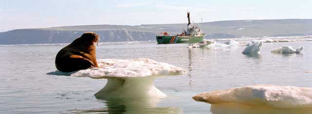 Greenpeace, protection de l'environnement