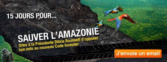 Demandez à Dilma Rousseff d'opposer son veto pour sauver l'Amazonie