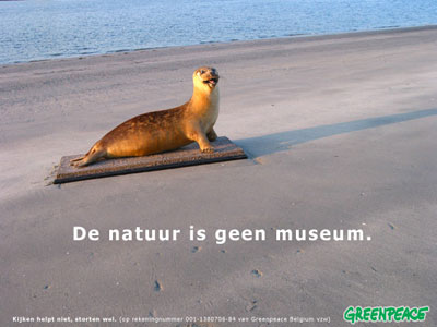 zeehond_klein